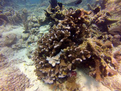 2015-11-26 13-12-33.186